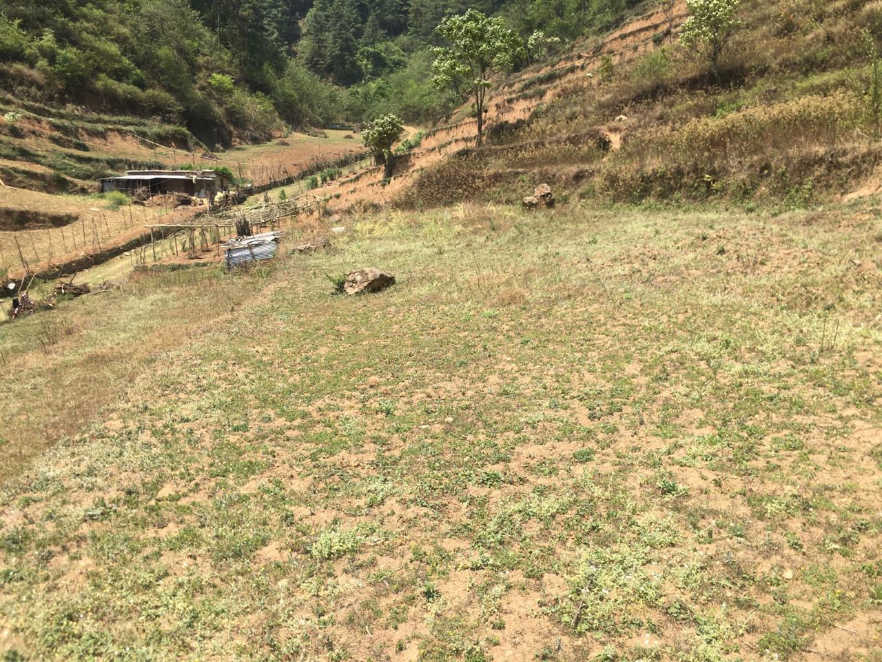 Picture of Dakshinkali Municipality, Bagmati